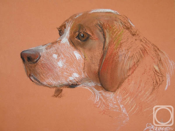 �������. �������� ������. ���������� ��������