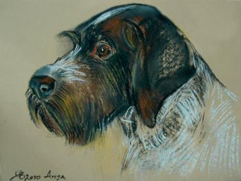 �������� ����. �������� ������