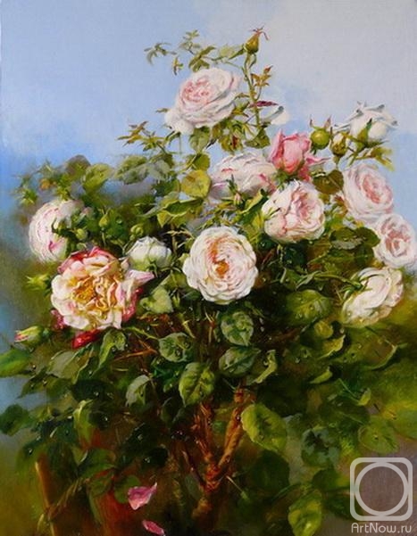 Fedorova Irina. White Rose Bush