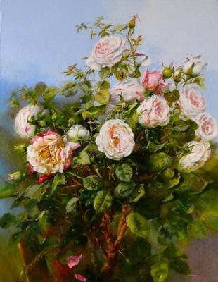 White Rose Bush. Fedorova Irina