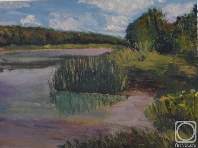 Gvozdetskaya Irina. Landscape in Oil