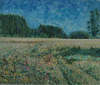The meadow at the Kirzhach River. Summer day