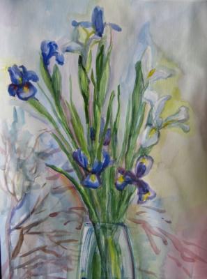 Spring sun. Irises. Kruppa Natalia