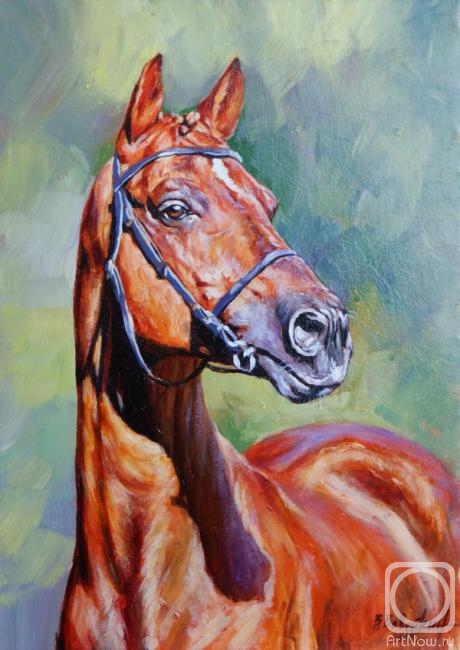 ������� ������ �� ������. �������� ������. �������� ����