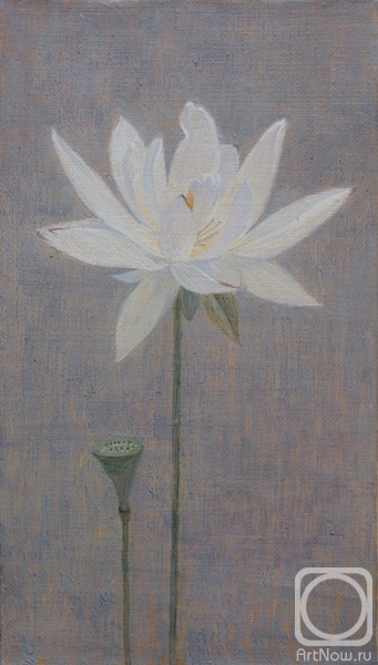 Sotnikova Antonina. White Lotus