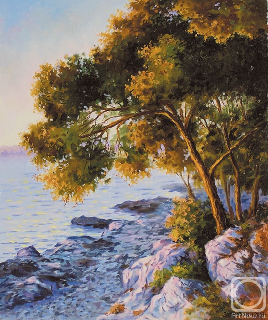 Zrazhevsky Arkady. Croatia. Evening coast