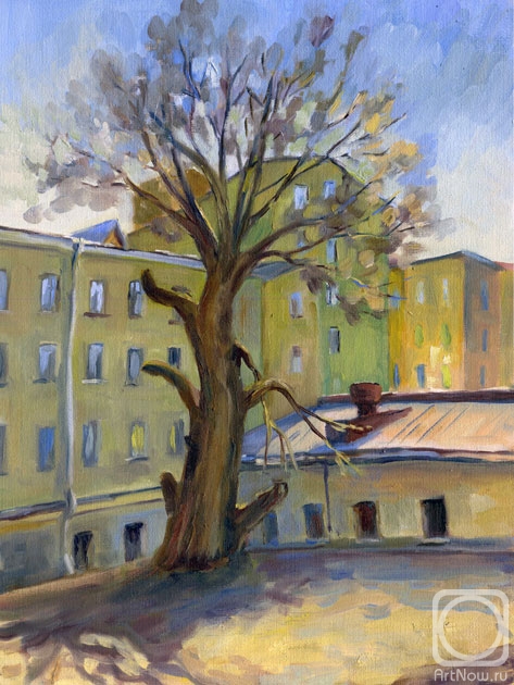 Malancheva Olga. Yard. Tree. Spring