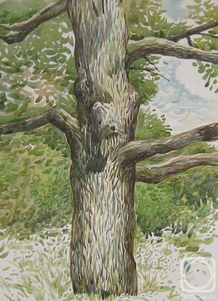 �������. ������� ������. ���