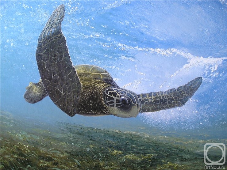 ������� ������ �� ������. �������� ������. ������ �� ������