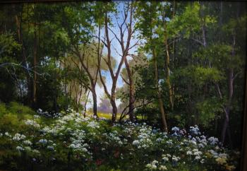 ������� ���������� ������