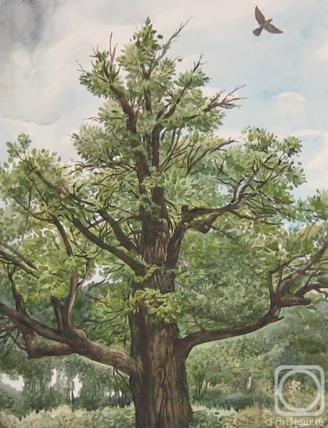 �������. ������� ������. ������� ���