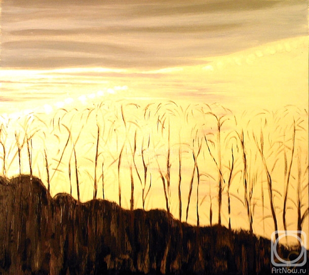 ������� ������ �� ������. �������� �����. �������� �������