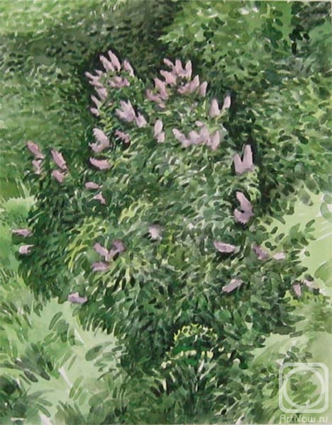 �������. ������� ������. ������