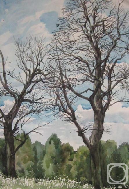 Rakutov Sergey. Dry trees