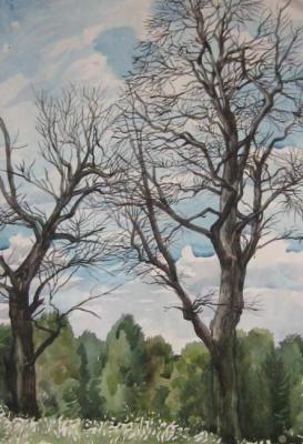 Dry trees