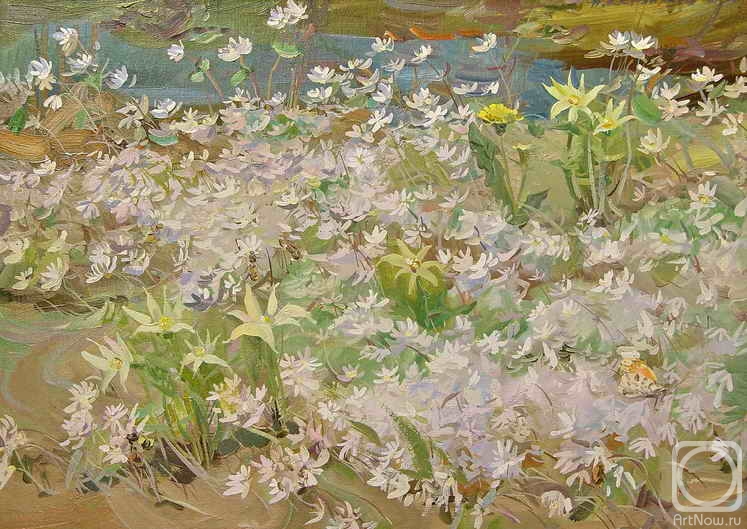 ������� ������ �� ������. ��������� �������. ������������ �����