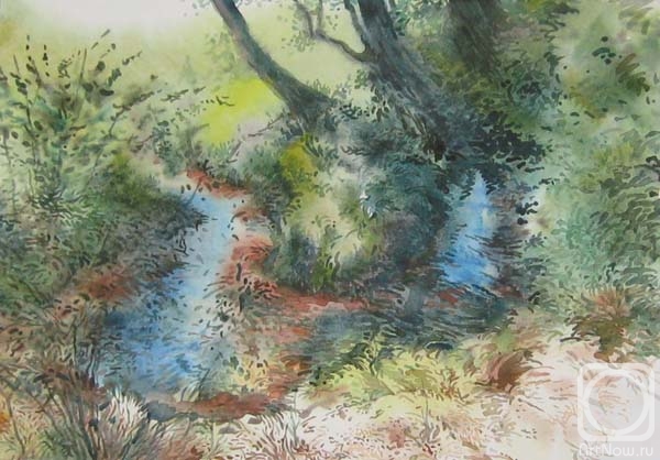 Rakutov Sergey. Forest Channel