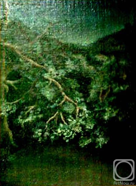 ������� ������ �� ������. �������� �����. ������ ������