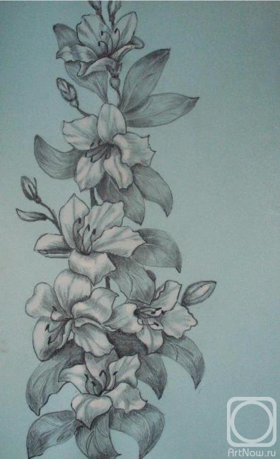 Lambeva Valentina. Rhododendron