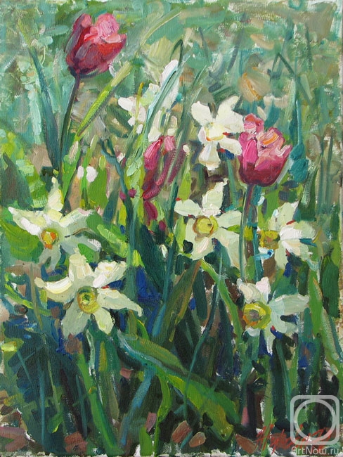 ������� ������ �� ������. ������ ����. �������� � ��������