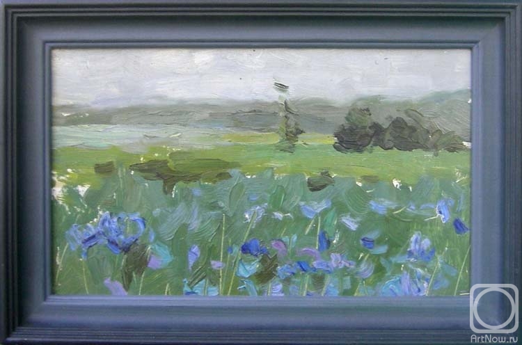 Strulev Evgeniy. Cornflower-blue field