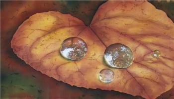 ����� "����������� ��������". �������� �������