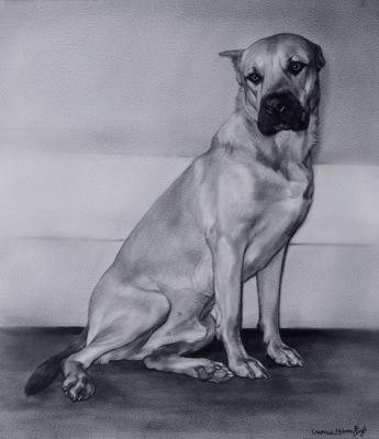 ������� ��������