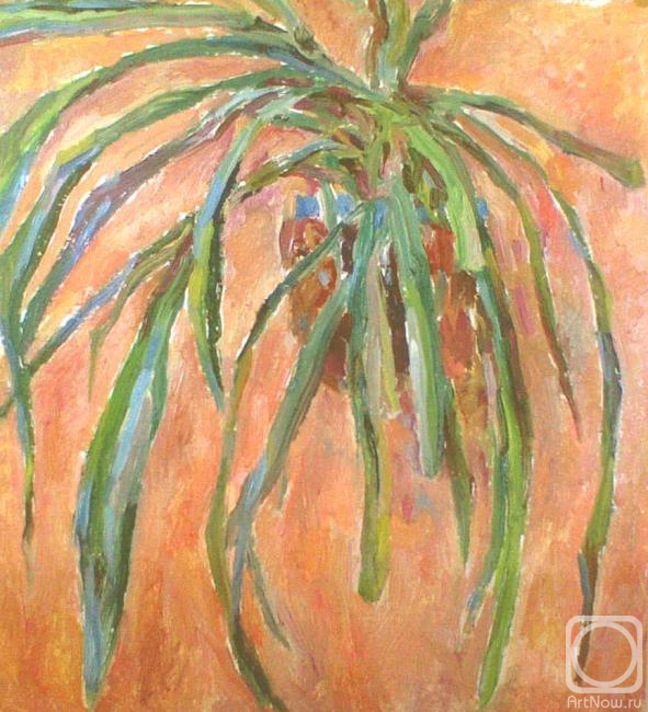 �������. ������� ���������. �� �����