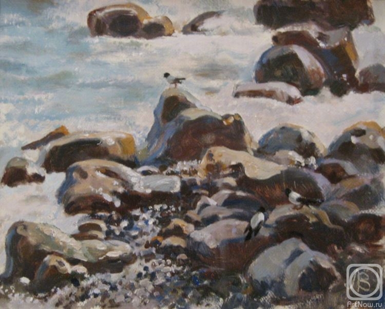 Lapovok Vladimir. Seagulls on the rocks