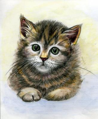 Little Cat. Kondyurina Natalia