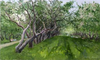 ������� ���������� ��� � �����������