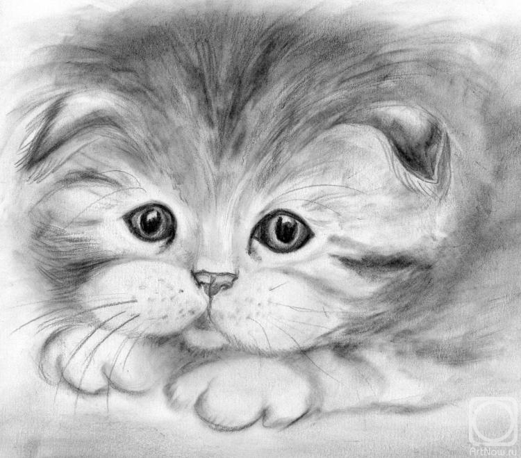 �������. ��������� �������. ���������