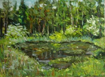 ������� ��������� ����