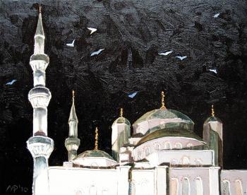 Seagulls over the Blue Mosque. Monakhov Ruben