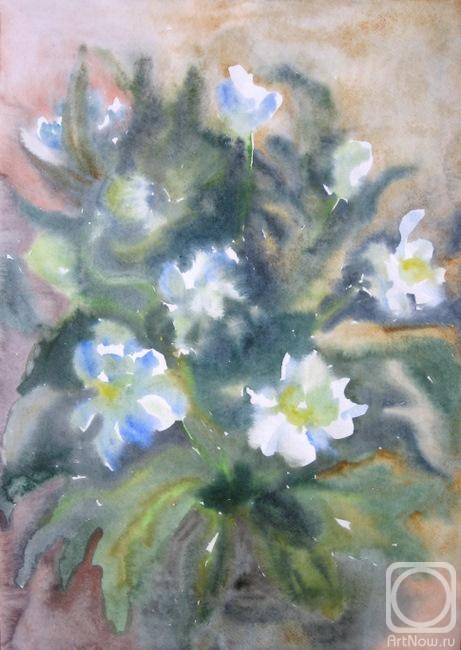 �������. ��������� ��������. �������� �����