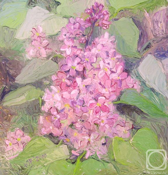 ������� ������ �� ������. ������� ����. �� �������!