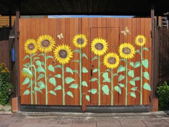 Sunflowers at the gate