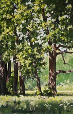 ������� ����� � ���������