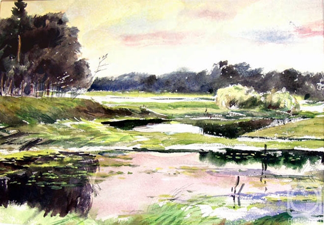 Vrublevski Yuri. Quiet backwaters