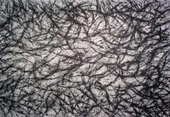 Картина «Без названия OF-A493»