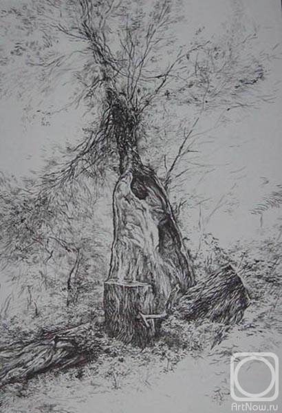 �������. ������� ������. ������ ������