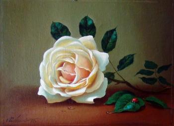 Royal Rose. Kharchenko Ivan