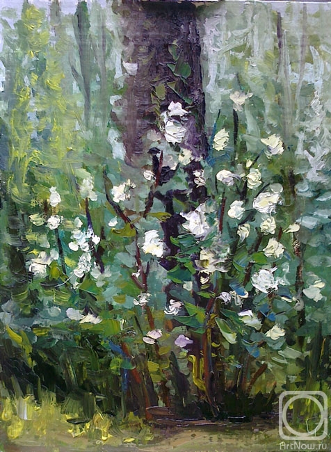 ������� ������ �� ������. ���������� �����. ������� ��� ��������