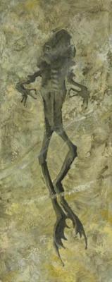 ������� ����������