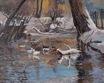 Landscape with ducks