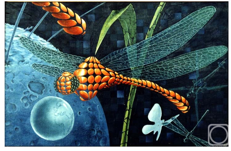 ������� ������ �� ������. ������ �������. ����� �������