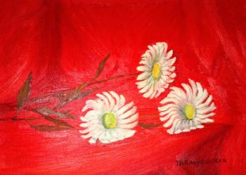 Daisies on red