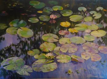 ������� ������ �� �����