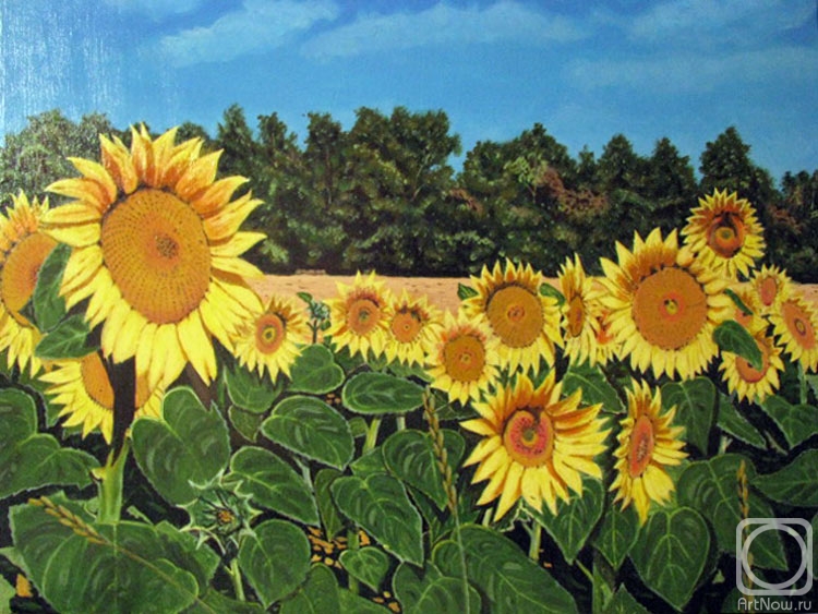 �������. �������� ������. ����������