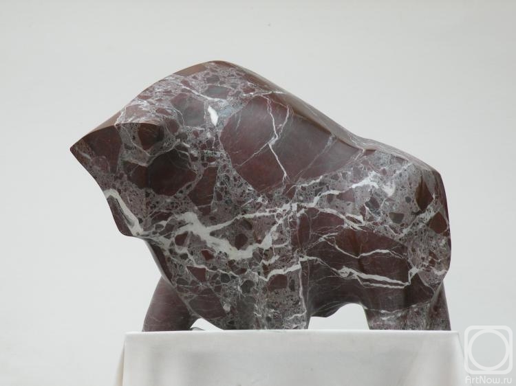 Tihomirov Pavel. Bull